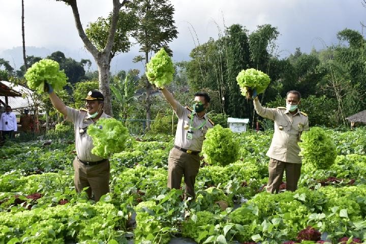 Manfaat Cold Storage dalam Bidang Agribisnis