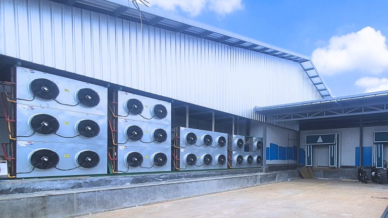 Proses Pembuatan Cold Storage: Dari Desain hingga Instalasi